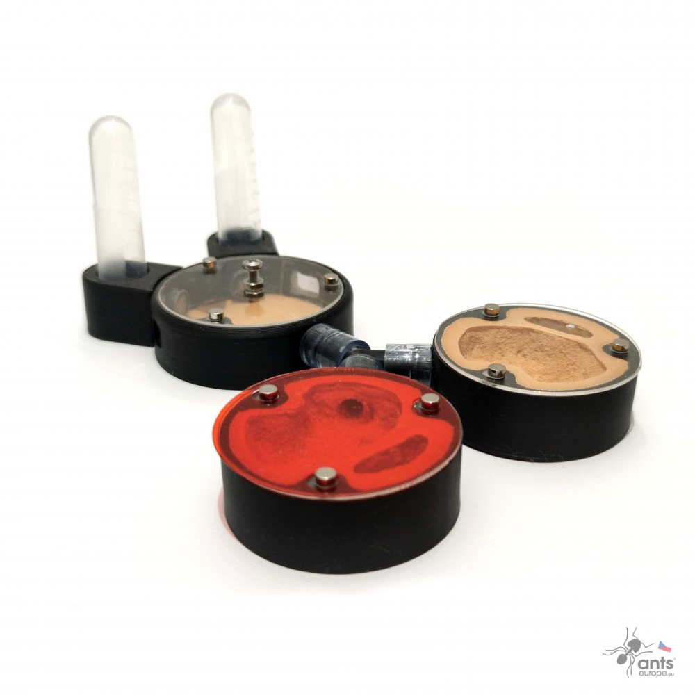 Startovací formikárium s kapacitou až 70 dělnic Messor barbarus.