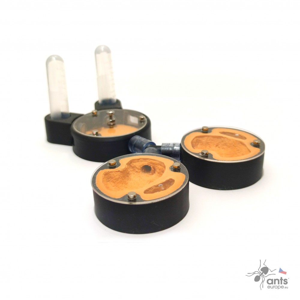 Startovací mravenčí farma s možností rozšiřování pomocí dalších hnízdních modulů.