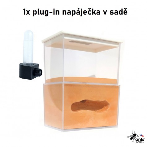 Formikárium pro čerstvou královnu nebo mladou kolonii. Obsahuje 1 napáječku na vodu.