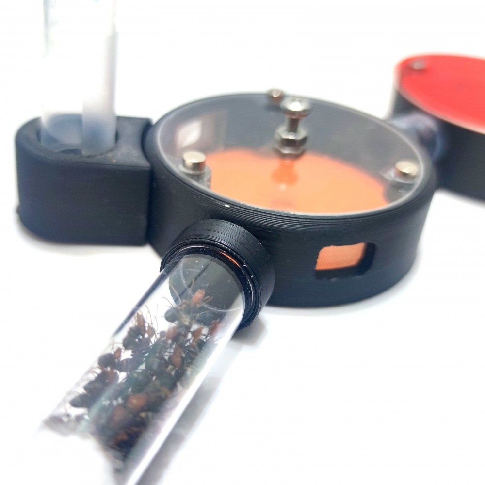 Formikárium ANTcore MINI