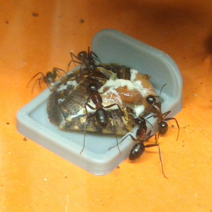 Krmící misky - set