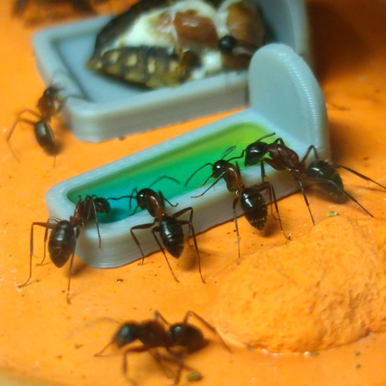 Krmící misky - set